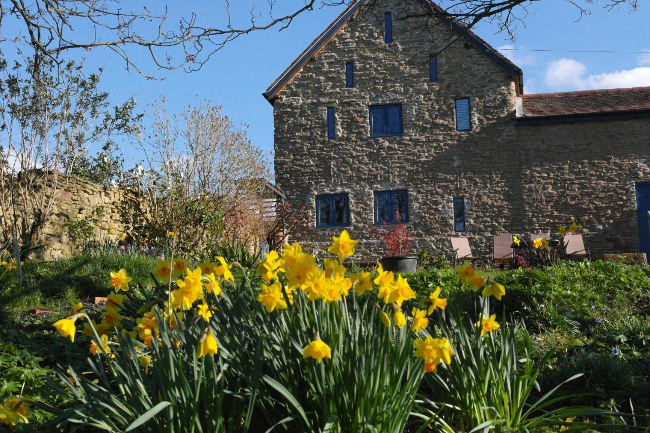 ヘレフォード Prospect Barn Bed & Breakfast エクステリア 写真
