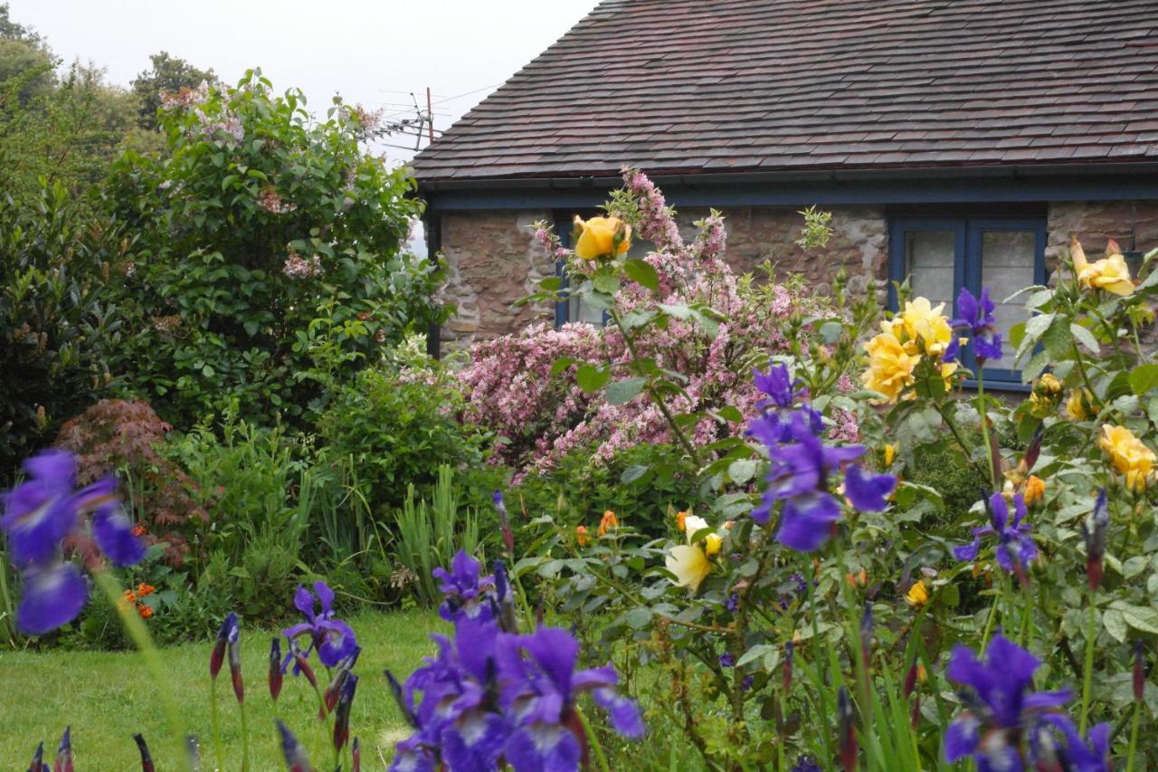 ヘレフォード Prospect Barn Bed & Breakfast エクステリア 写真