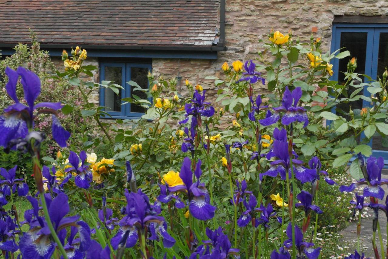 ヘレフォード Prospect Barn Bed & Breakfast エクステリア 写真